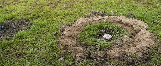 Destruction des déchets dans une fosse septique